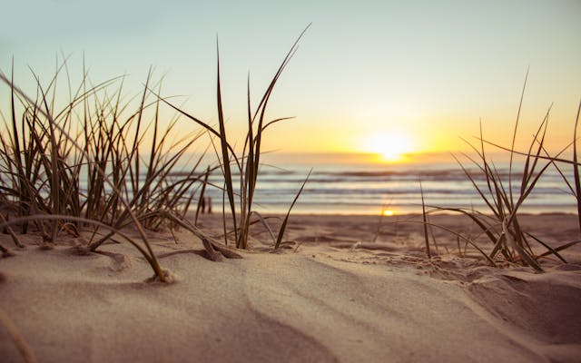 100 Mindfulness Quotes by Leading Experts