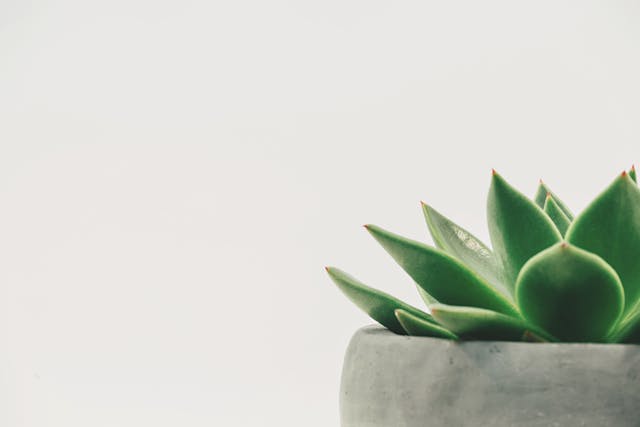 How to Listen to and Trust Your Inner Voice in Making Life Decisions