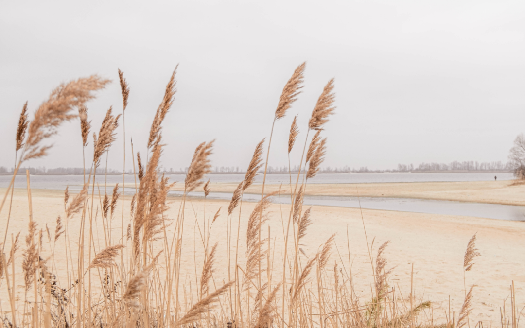 What Is The Knowing? Why Clarity Doesn’t Come From Overthinking